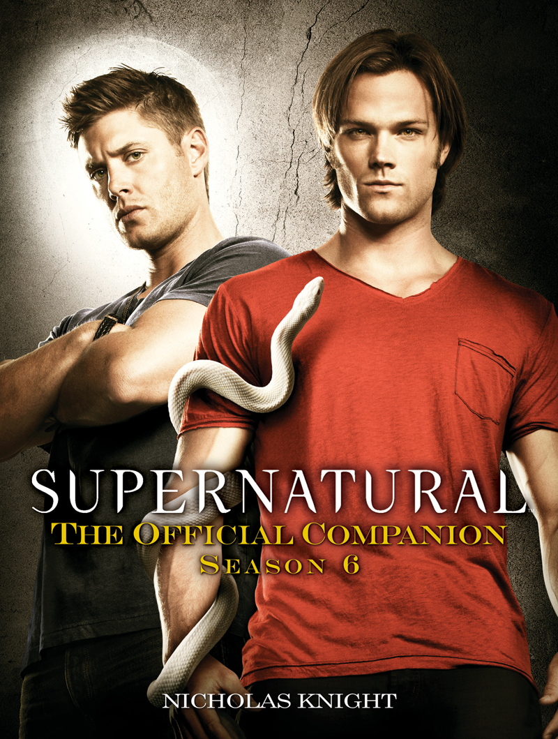 Illustration for article titled What the Hell happened to Castiel? Some Clues from the Supernatural Season 6 Companion